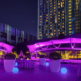 Dining Credits worth Php 1,500